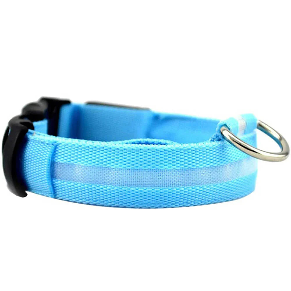 AURORA PET LIGHT - LED-blinkande hundhalsband